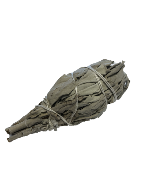 White Sage
